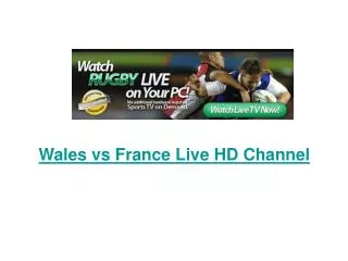 Wales vs France Live Stream Rugby (RWC) Semi Final Free Onli