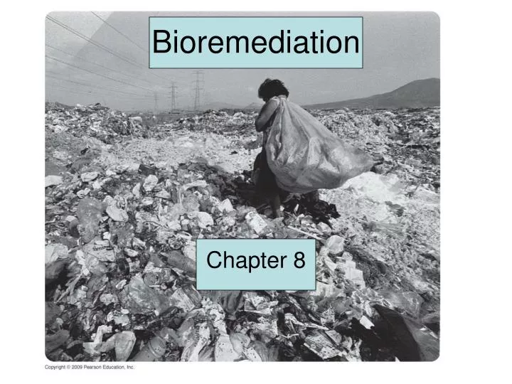 bioremediation