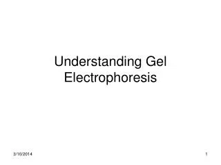 Understanding Gel Electrophoresis