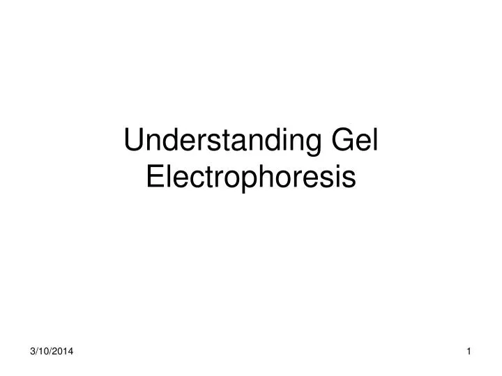 understanding gel electrophoresis