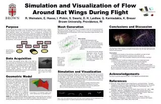 Simulation and Visualization of Flow Around Bat Wings During Flight