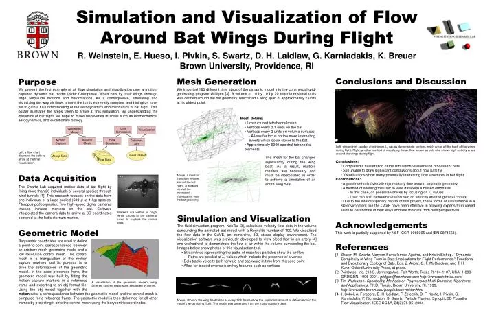 simulation and visualization of flow around bat wings during flight