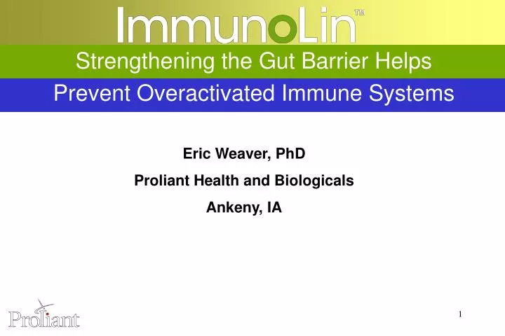 strengthening the gut barrier helps prevent overactivated immune systems
