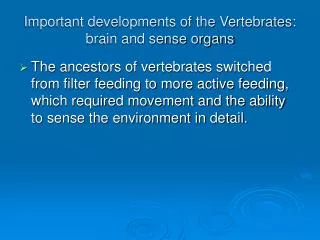 Important developments of the Vertebrates: brain and sense organs