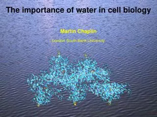 The importance of water in cell biology