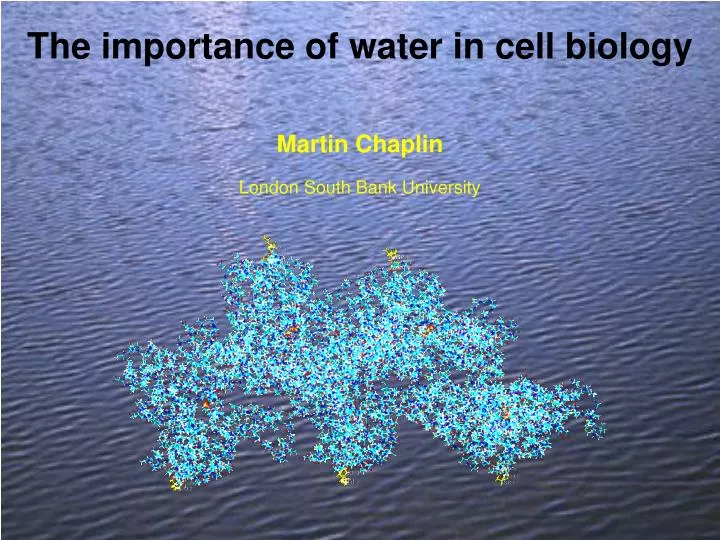 the importance of water in cell biology