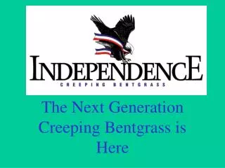 The Next Generation Creeping Bentgrass is Here