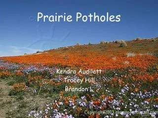 Prairie Potholes