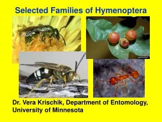 Selected Families of Hymenoptera