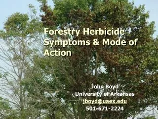 Forestry Herbicide Symptoms &amp; Mode of Action
