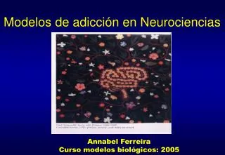 Modelos de adicción en Neurociencias
