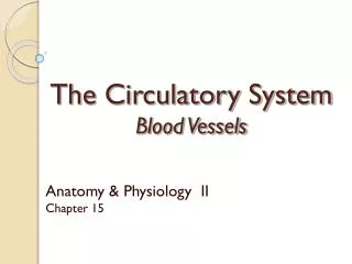 The Circulatory System Blood Vessels