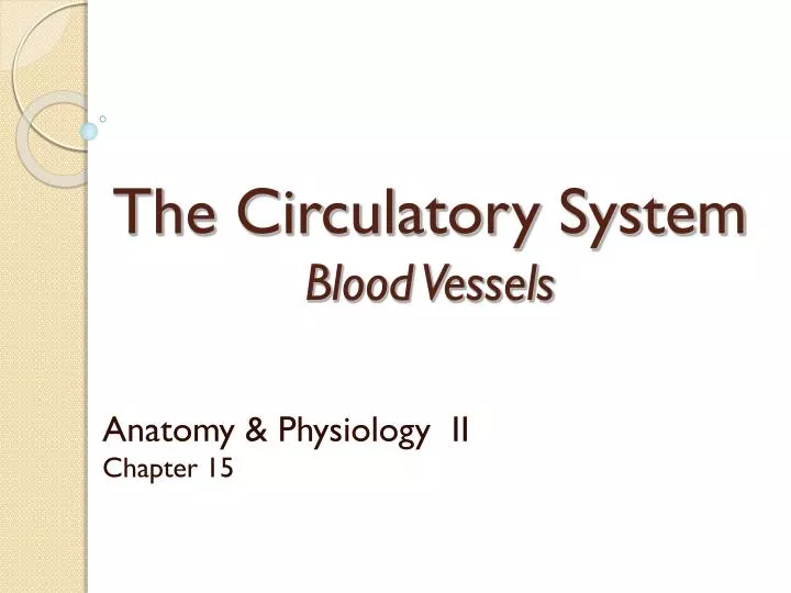 the circulatory system blood vessels