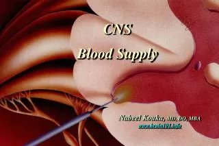 CNS Blood Supply