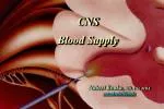 CNS Blood Supply - slide 1