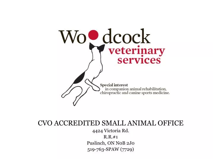 cvo accredited small animal office 4424 victoria rd r r 1 puslinch on n0b 2j0 519 763 spaw 7729