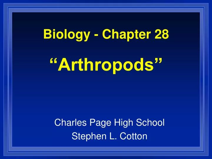 biology chapter 28 arthropods