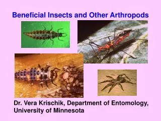 Beneficial Insects and Other Arthropods