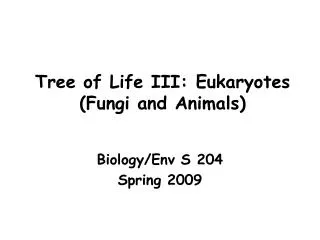 Tree of Life III: Eukaryotes (Fungi and Animals)