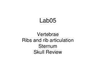 Lab05 Vertebrae Ribs and rib articulation Sternum Skull Review