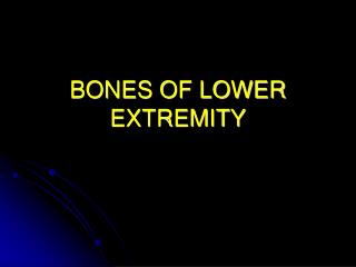 BONES OF LOWER EXTREMITY