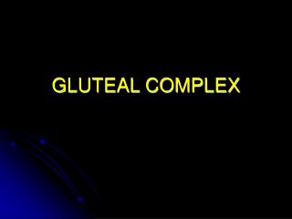 GLUTEAL COMPLEX