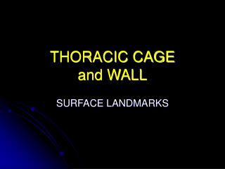 THORACIC CAGE and WALL