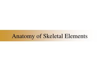 Anatomy of Skeletal Elements