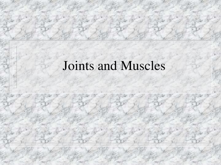 joints and muscles