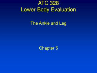 ATC 328 Lower Body Evaluation