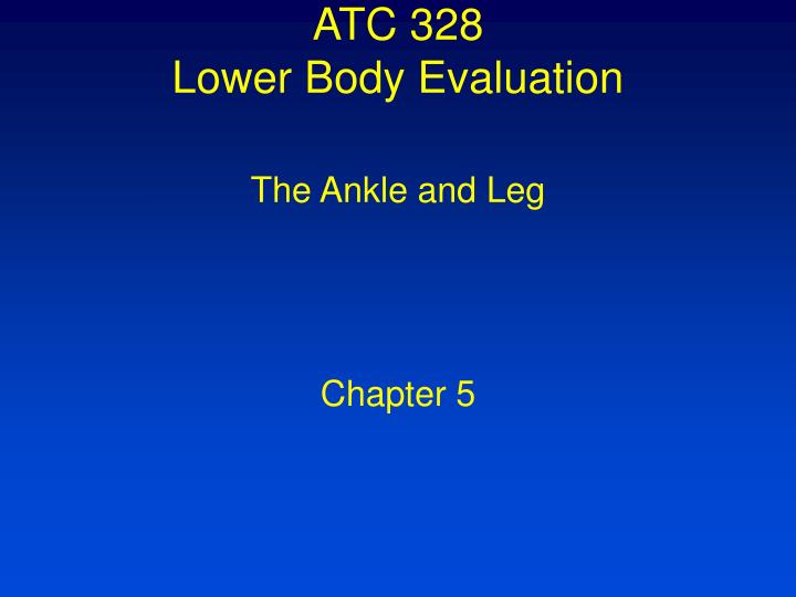 atc 328 lower body evaluation