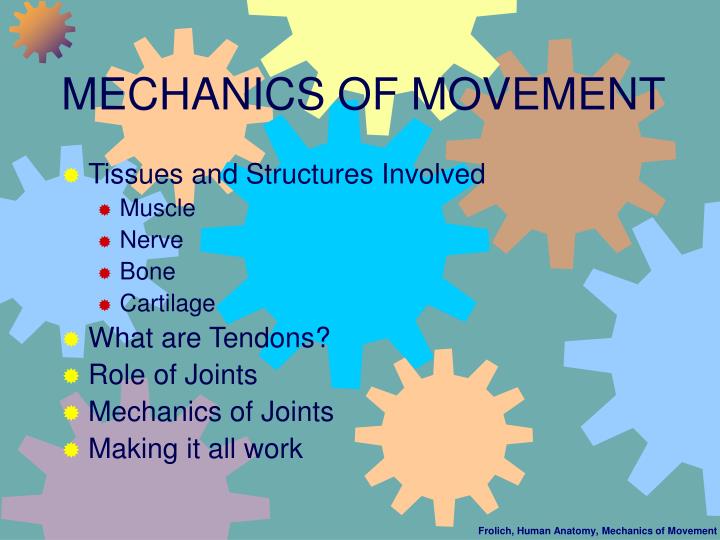 mechanics of movement