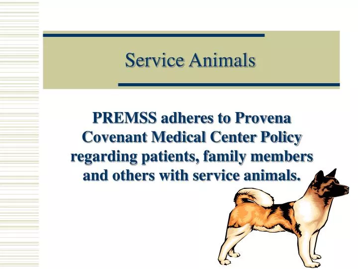 service animals