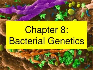 Chapter 8: Bacterial Genetics