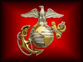 U. S. Marine Corps Forces Command 20 January 2010