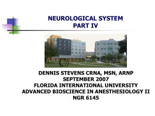 NEUROLOGICAL SYSTEM PART IV