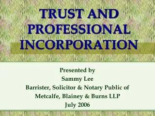 TRUST AND PROFESSIONAL INCORPORATION