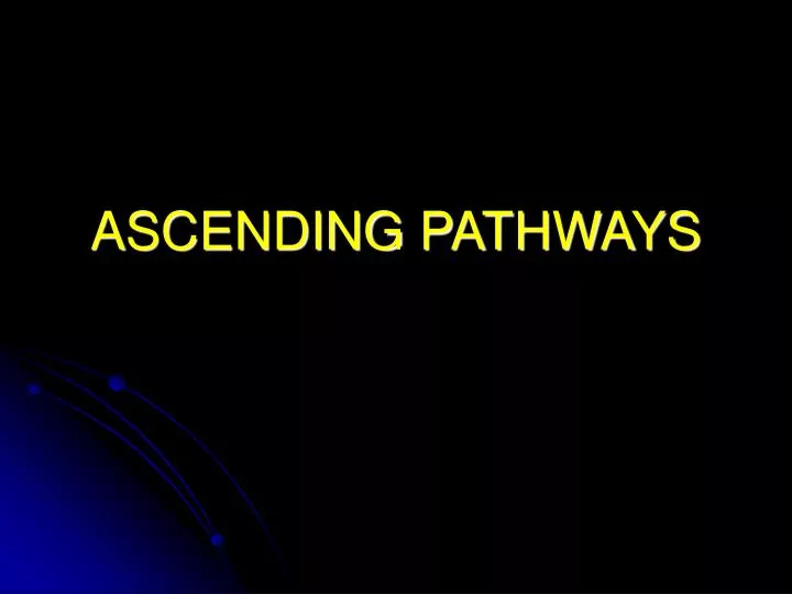ascending pathways