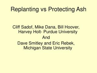Replanting vs Protecting Ash