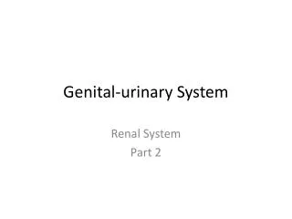 Genital-urinary System