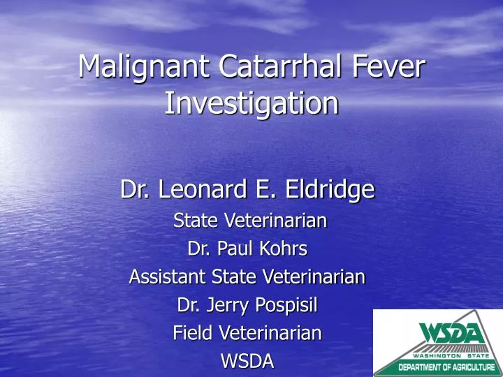 malignant catarrhal fever investigation
