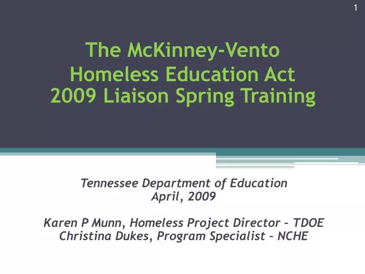 the mckinney vento homeless education act 2009 liaison spring training