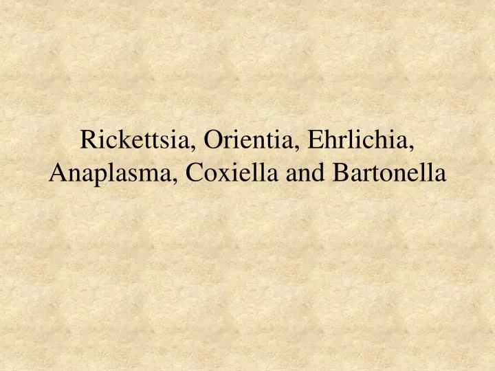 rickettsia orientia ehrlichia anaplasma coxiella and bartonella