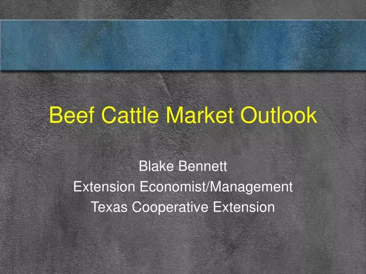beef cattle market outlook