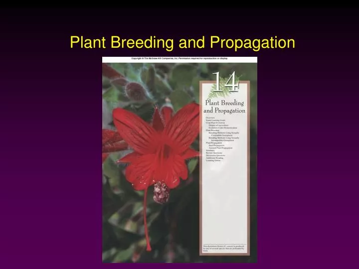 plant breeding and propagation