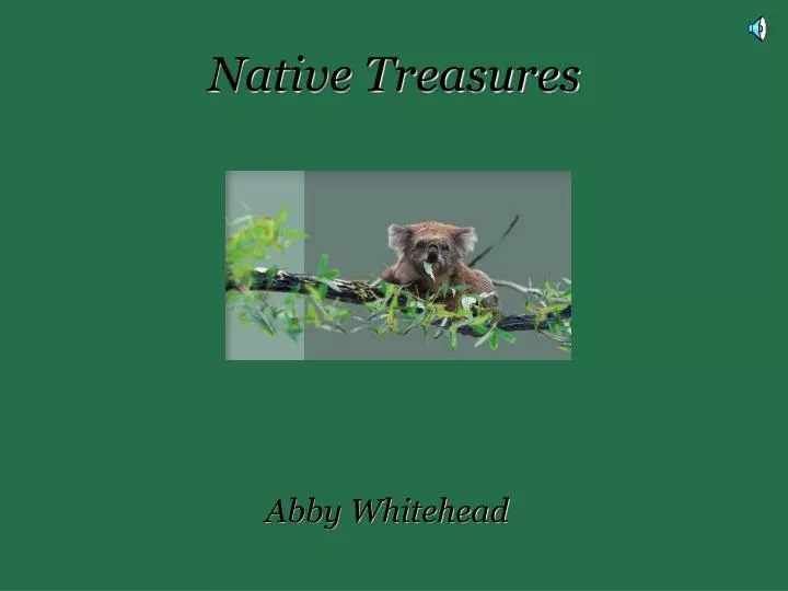 native treasures