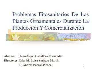 Problemas Fitosanitarios De Las Plantas Ornamentales Durante La Producción Y Comercialización