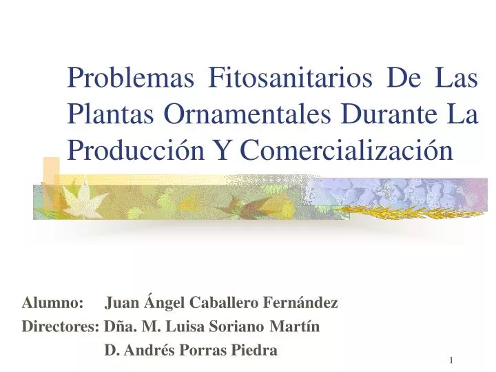 problemas fitosanitarios de las plantas ornamentales durante la producci n y comercializaci n
