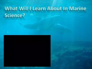 What Will I Learn About In Marine Science?