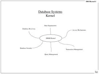 Database Systems Kernel